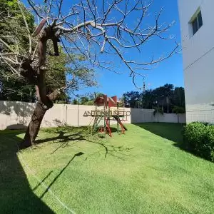 Imóvel em Centro