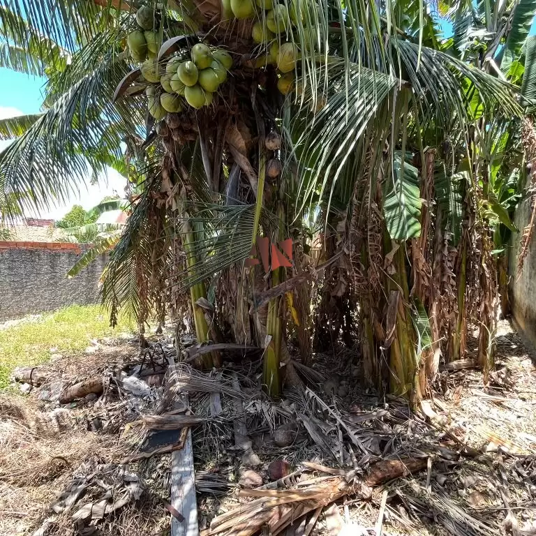 Imóvel em Cidade dos Funcionários