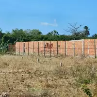 Capa