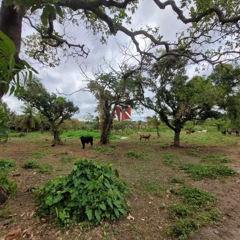 Imóvel em Aracapé
