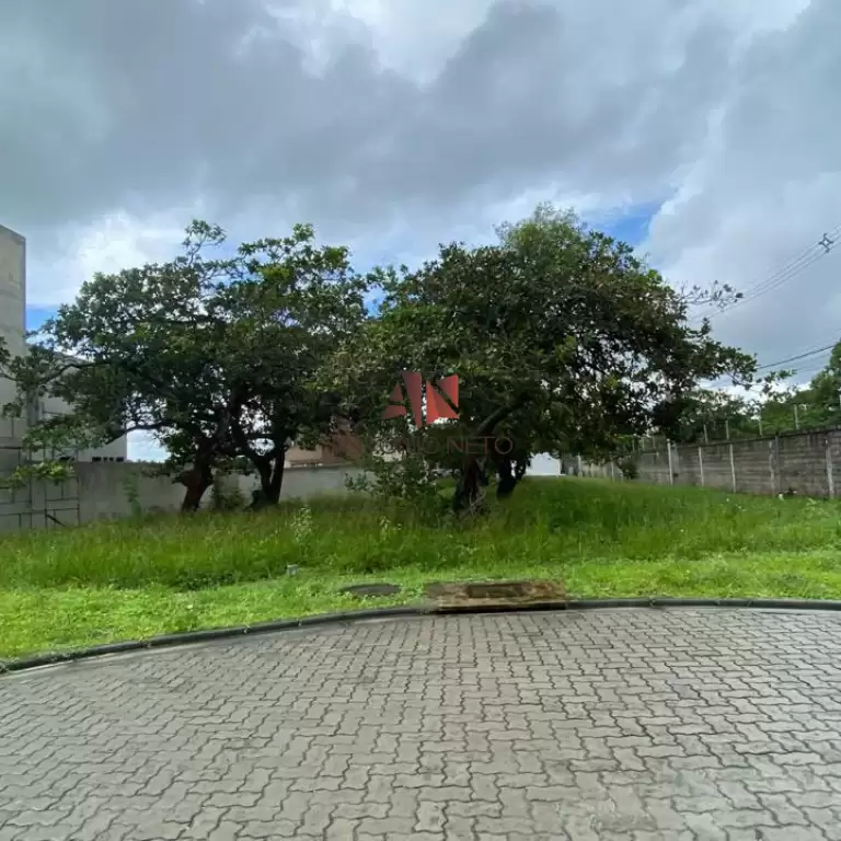 Imóvel em Jacundá